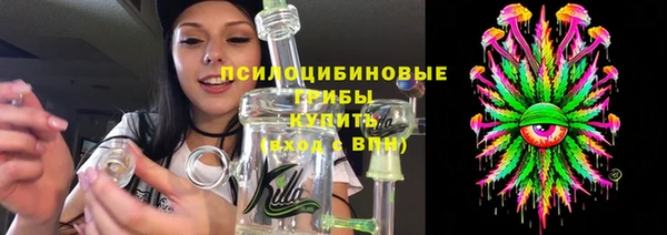 спайс Арсеньев